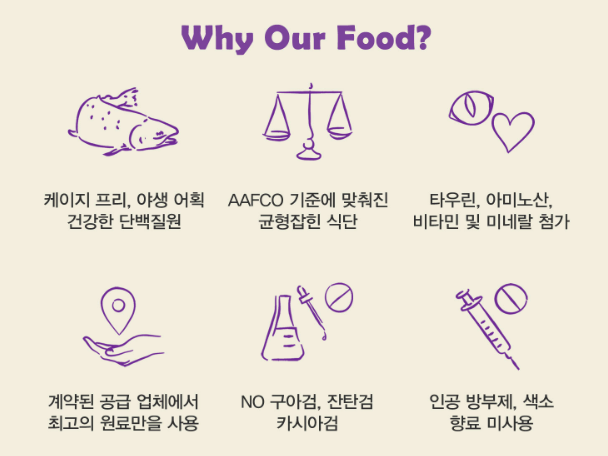 츄이스 이미지