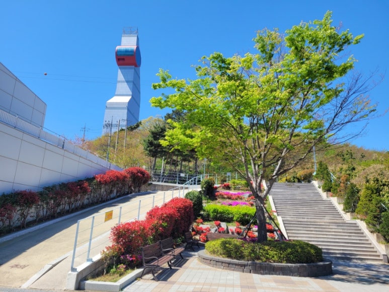 중앙꽃수족관 이미지
