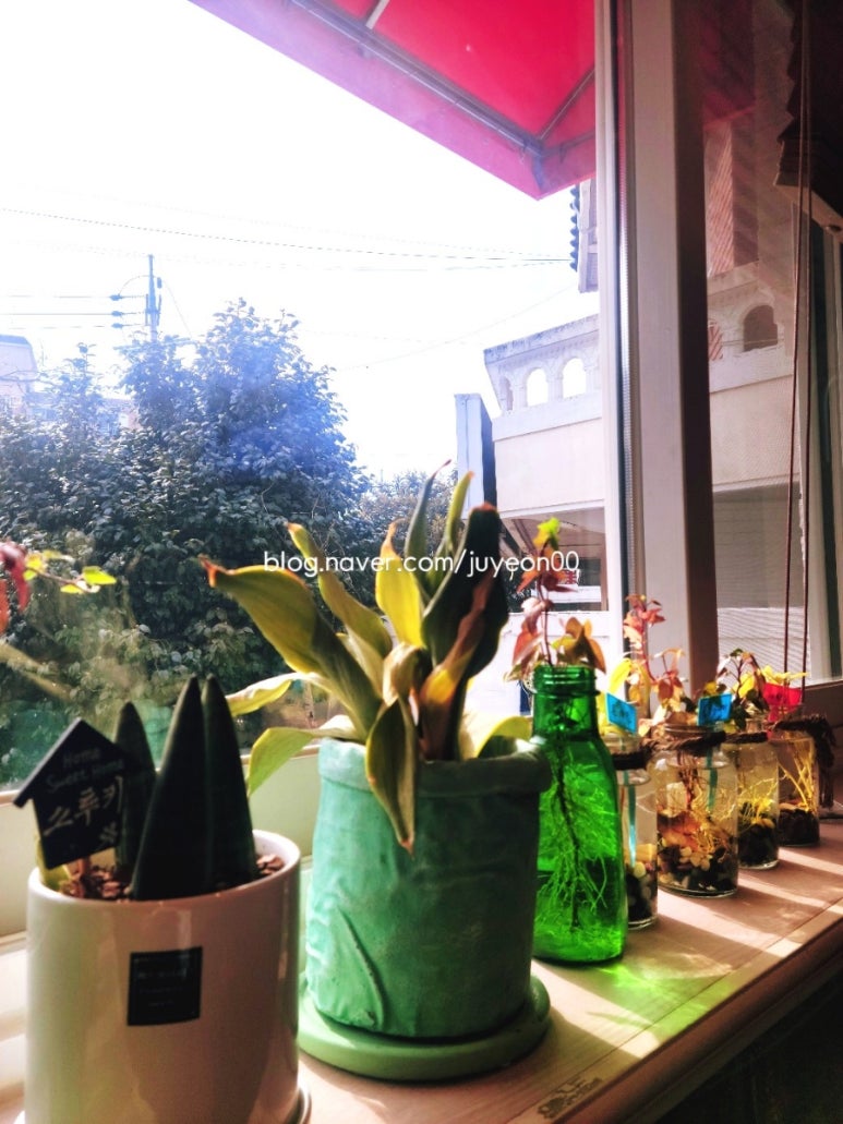 정경애코다리찜 이미지