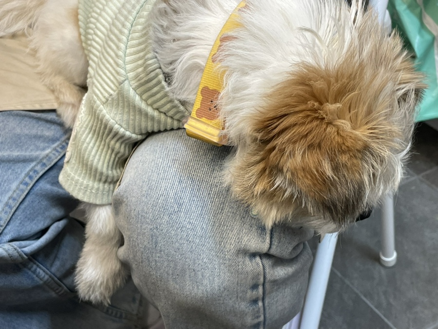 금이네분식 이미지