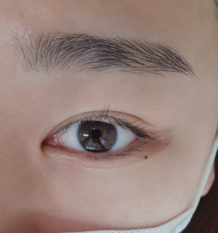눈썹함다 이미지