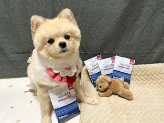 별하핏 이미지