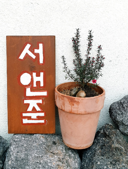 서앤준 이미지