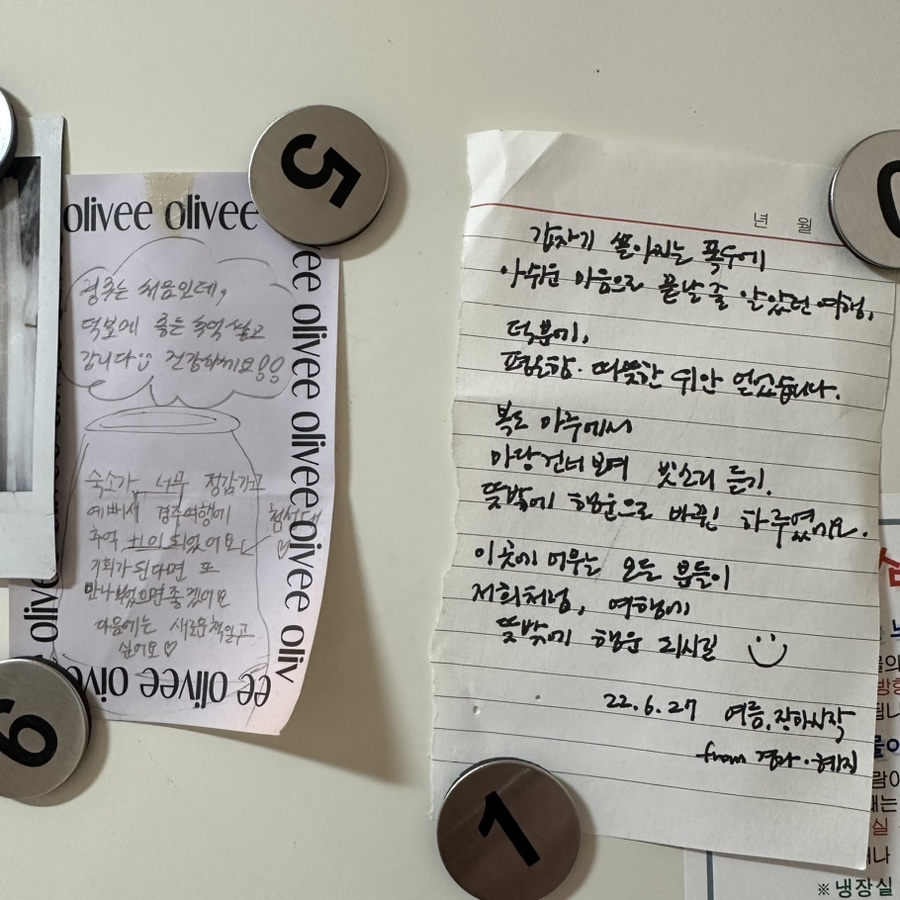 내생애경주 이미지