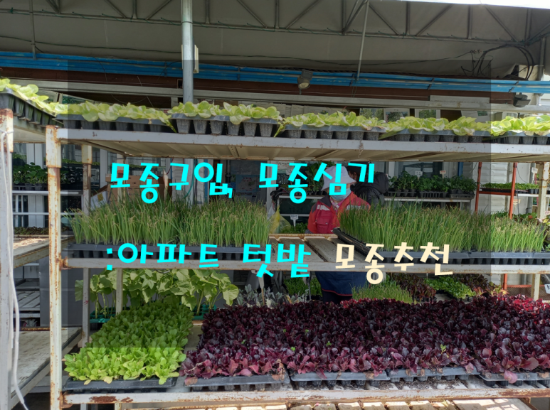 싹싹한모종가게 이미지