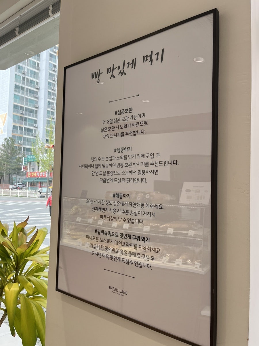 브레드랜드(BREAD LAND) 이미지