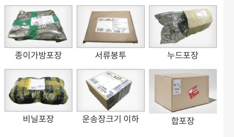 과일이오네 이미지