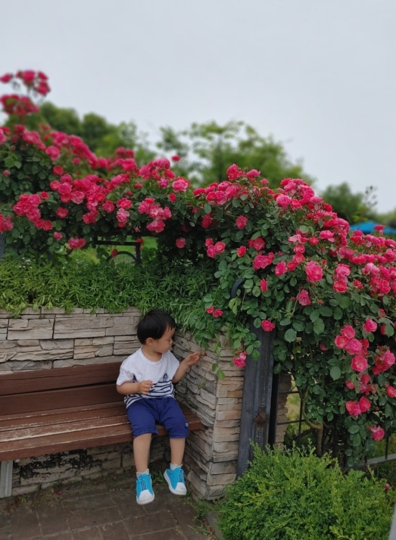 한밭화원 이미지