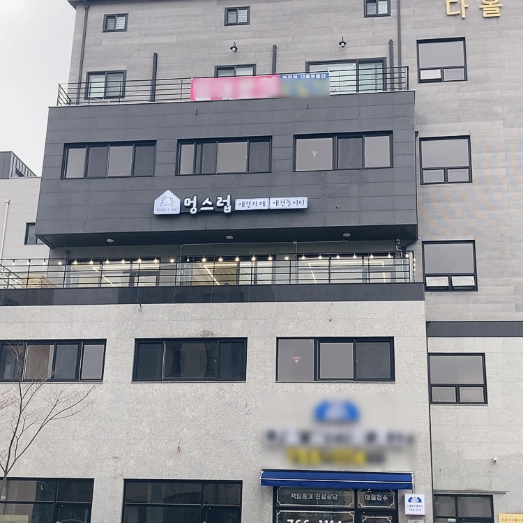 멍스럽 이미지