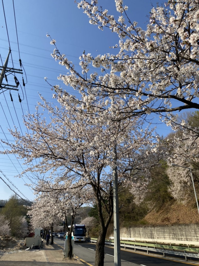파리바게뜨의정부송산 이미지