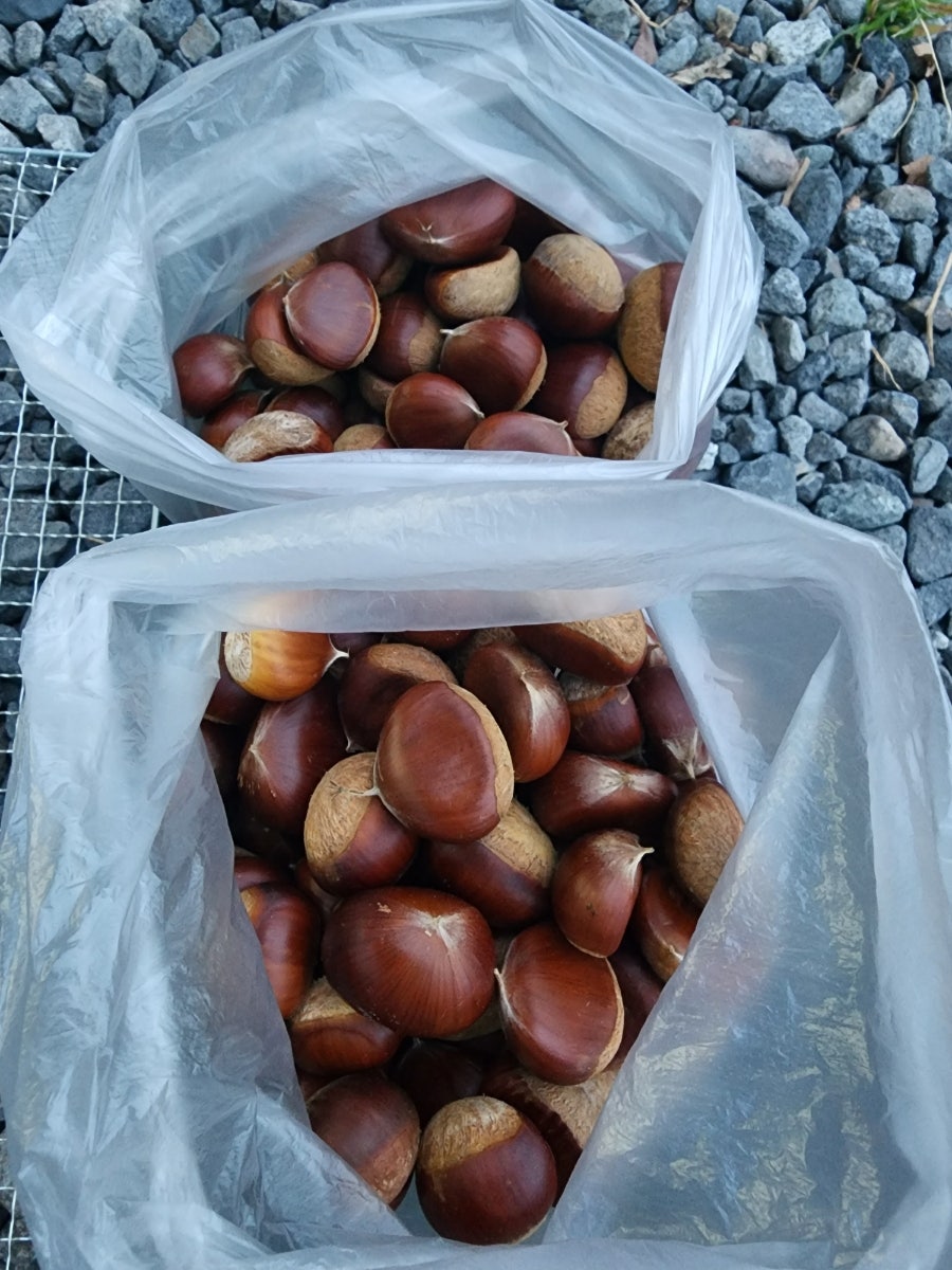 아이사랑캠핑장 이미지