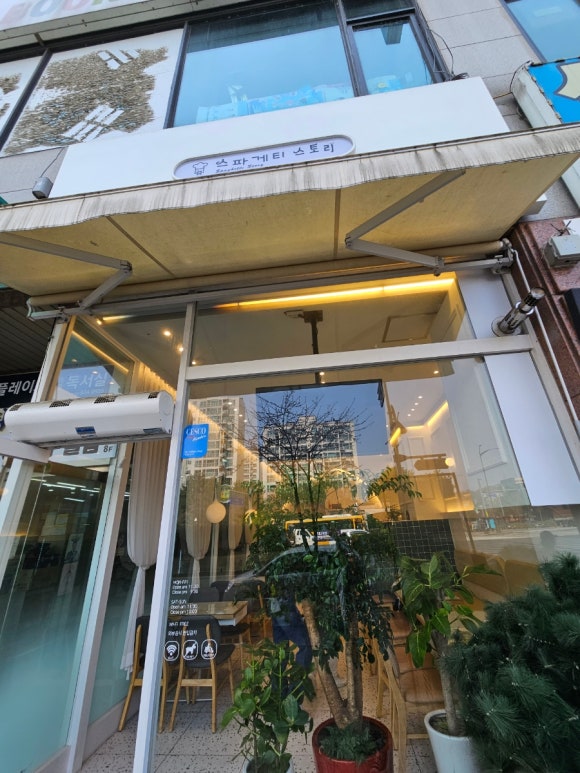 스파게티스토리교하 이미지