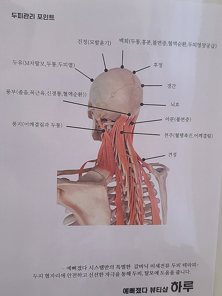 마이비네일 이미지