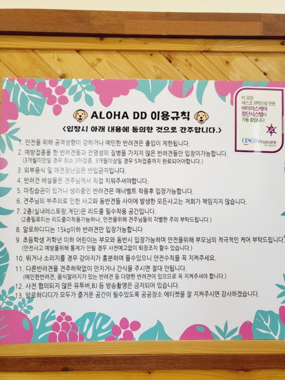 디디카페 이미지