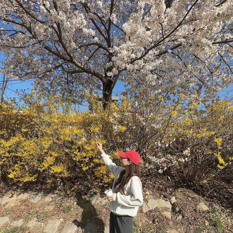 탑주유소 이미지