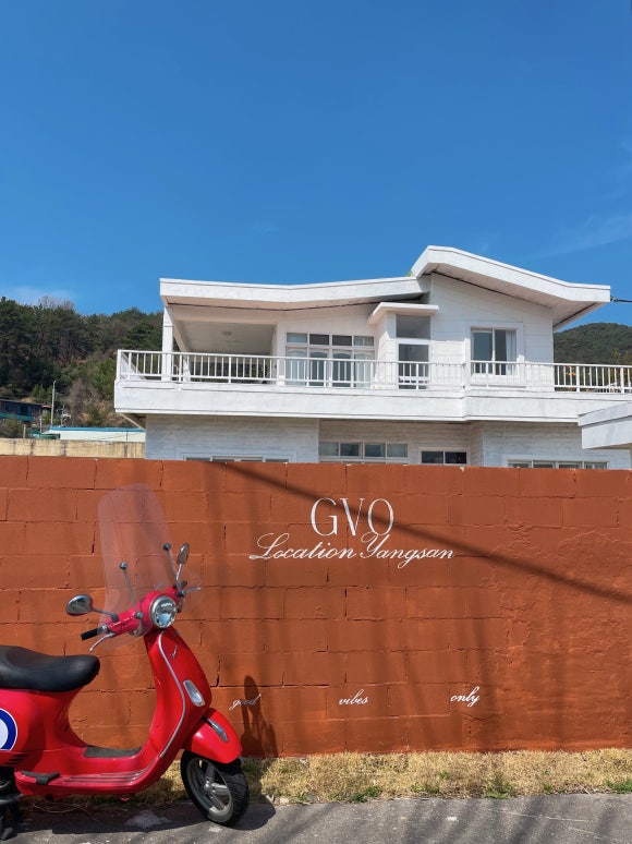 지브이오(GVO) 이미지