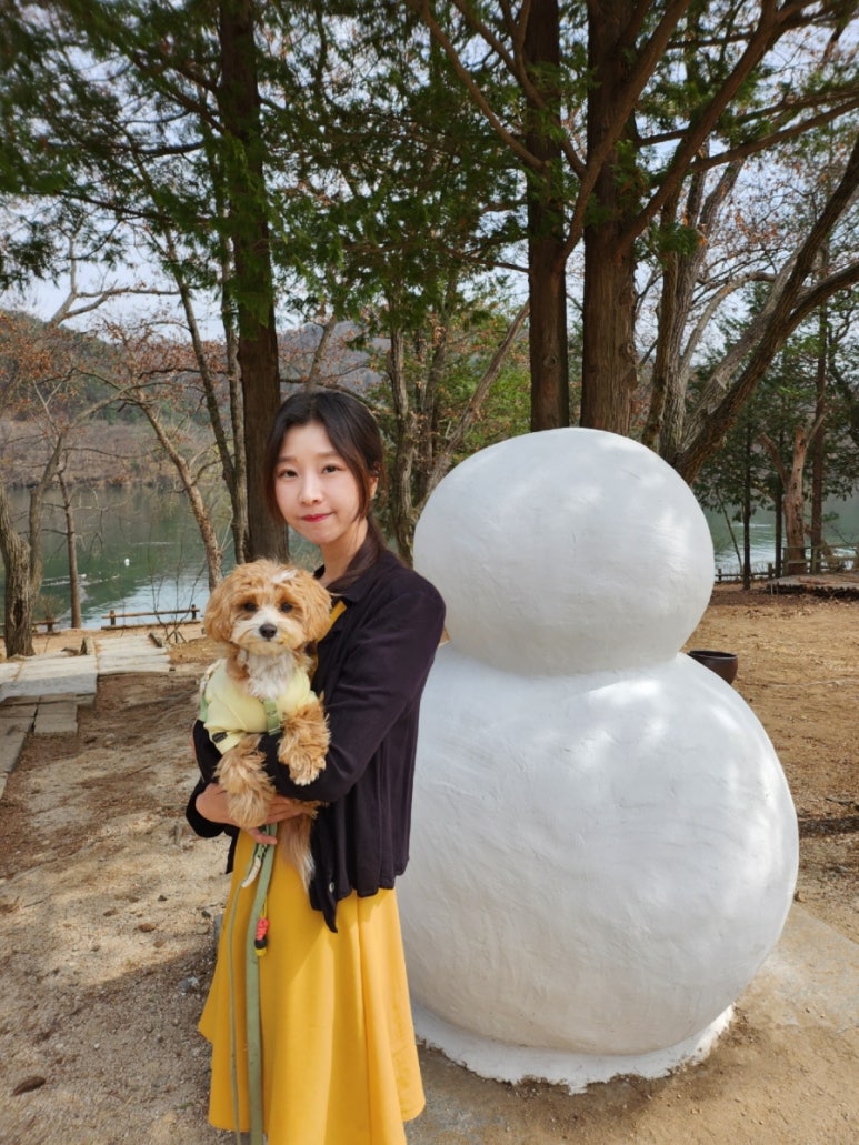 글램독가평 이미지