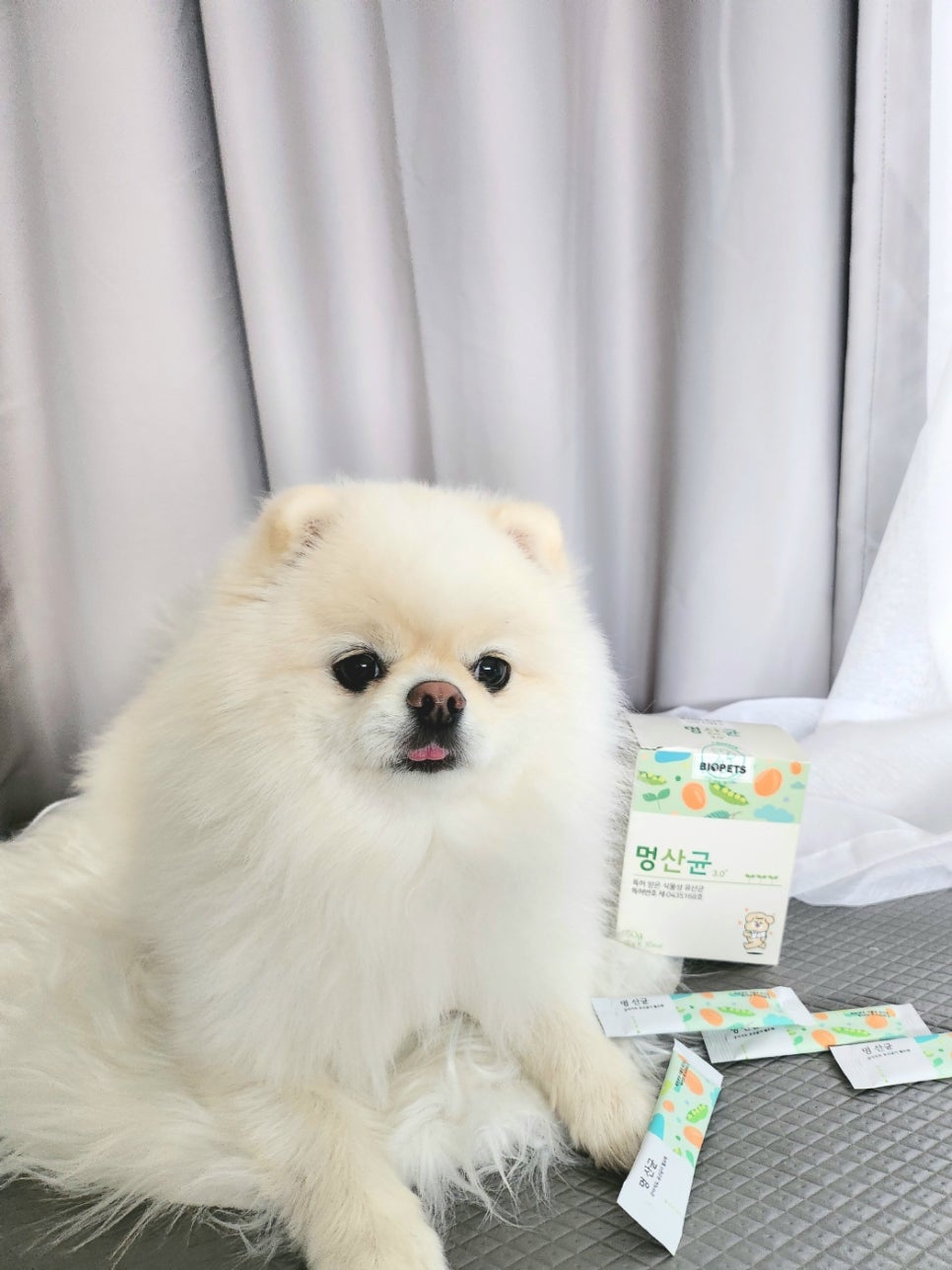 펫츠바이 이미지