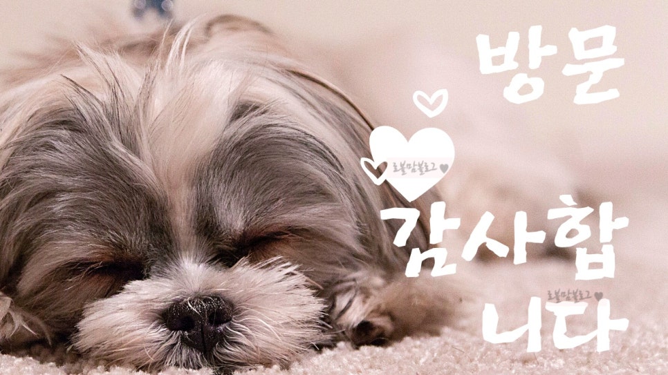 더싸다마트 이미지
