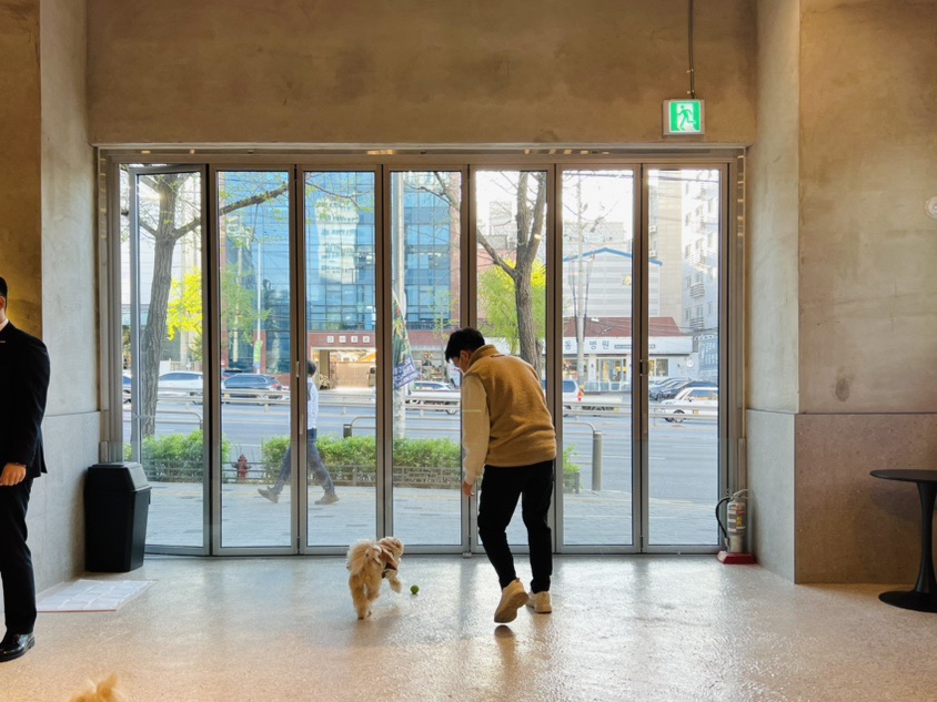 플레이스디 이미지