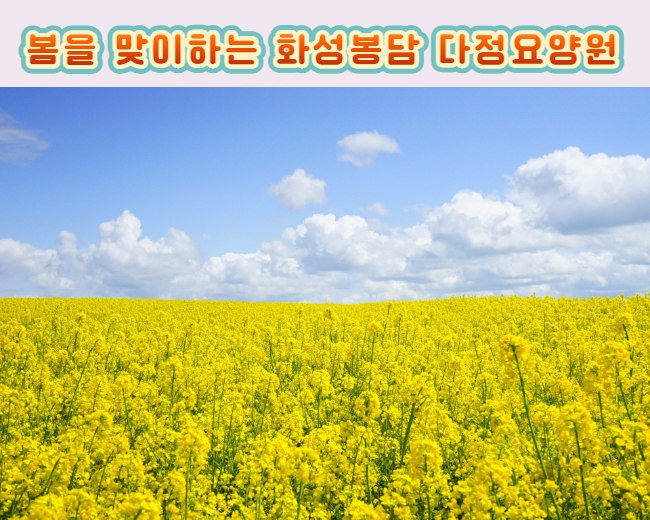 봉담 다정요양원 이미지
