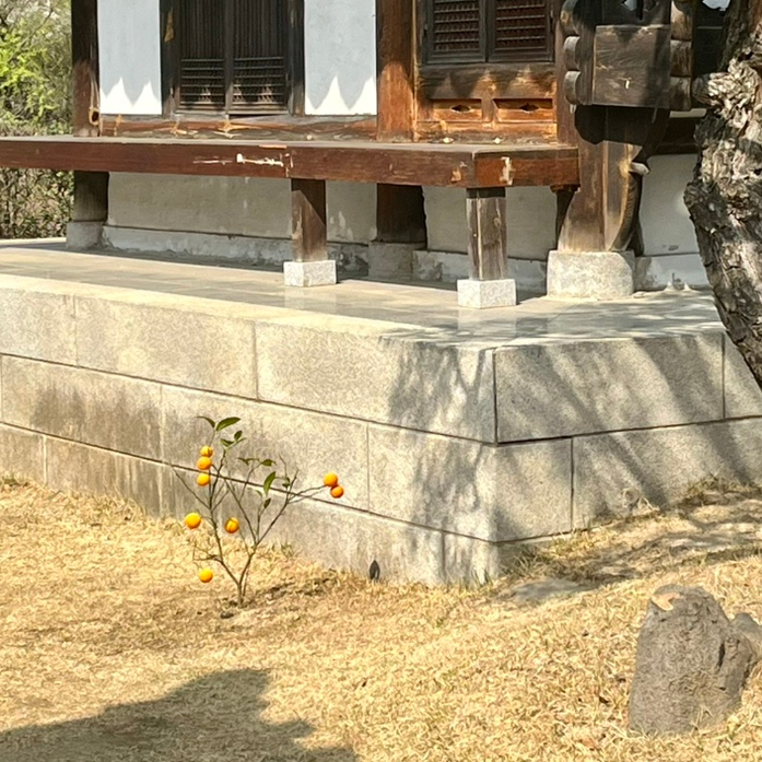육신사 전통한옥 이미지