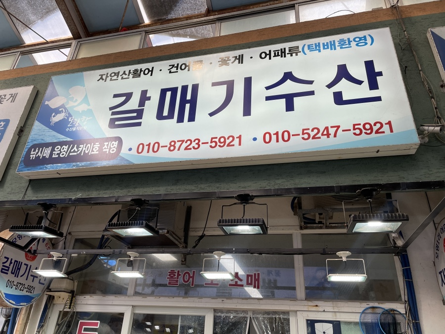 만리포몰디브 이미지
