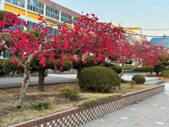 남해상회 이미지