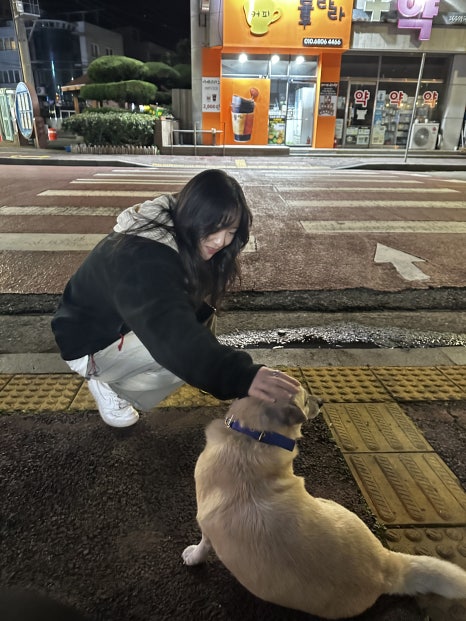 제주따이 이미지