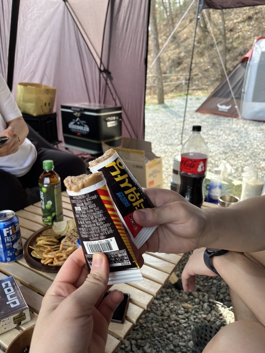 춘천 더숲 캠핑장 이미지