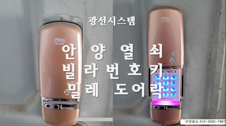 안양로398번길 이미지