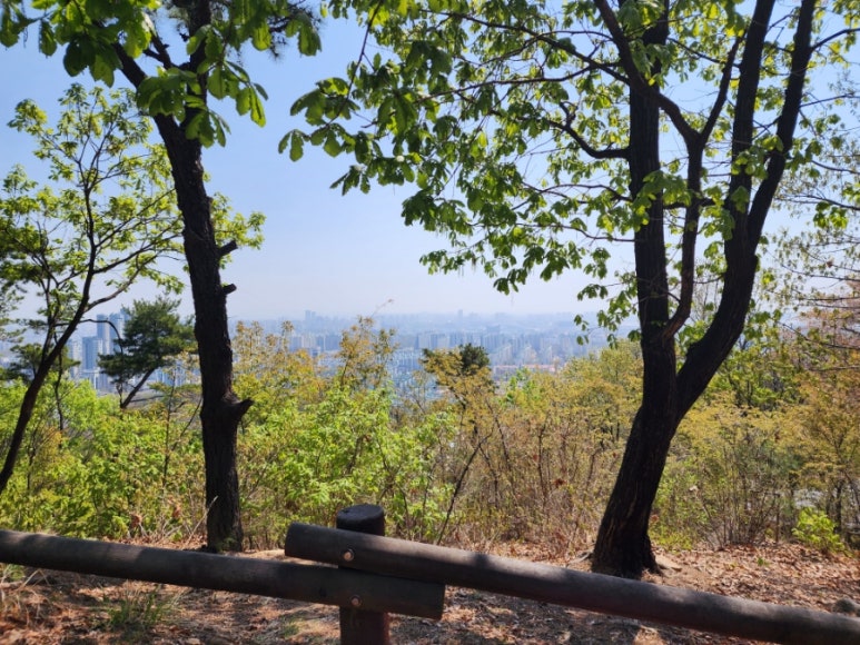 윤가네칼국수 이미지