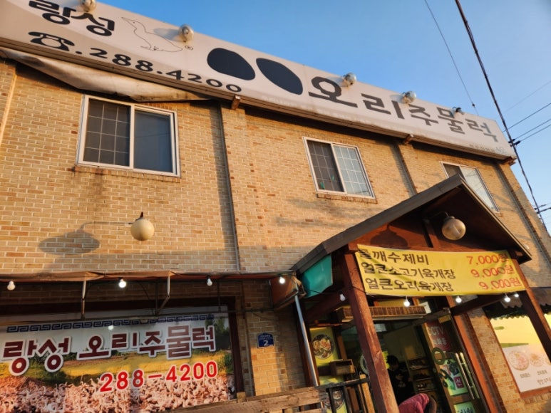 랑성오리 이미지