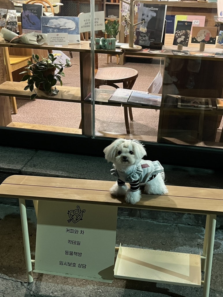 프룻퐁당 이미지