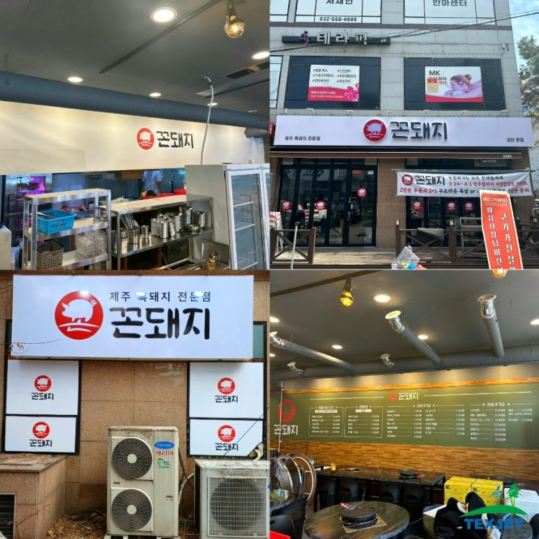 꼰돼지 이미지