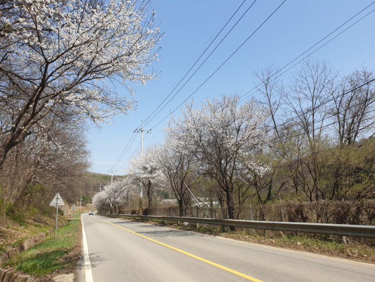 백학한식 이미지