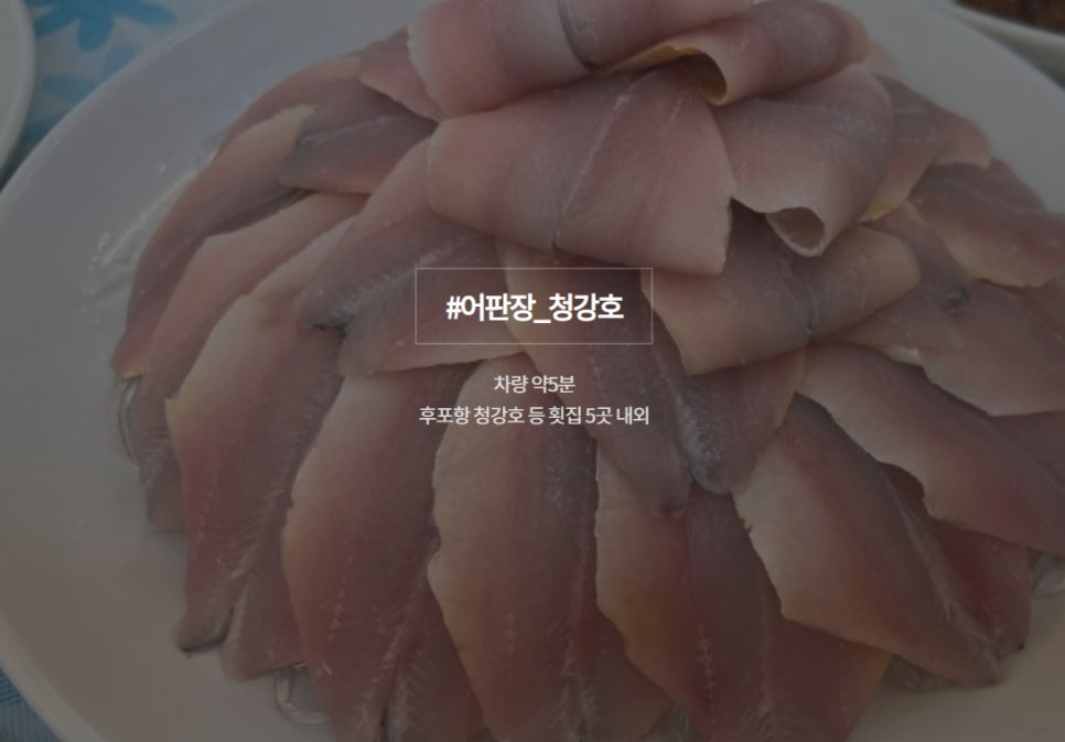 와서뭐하니 이미지