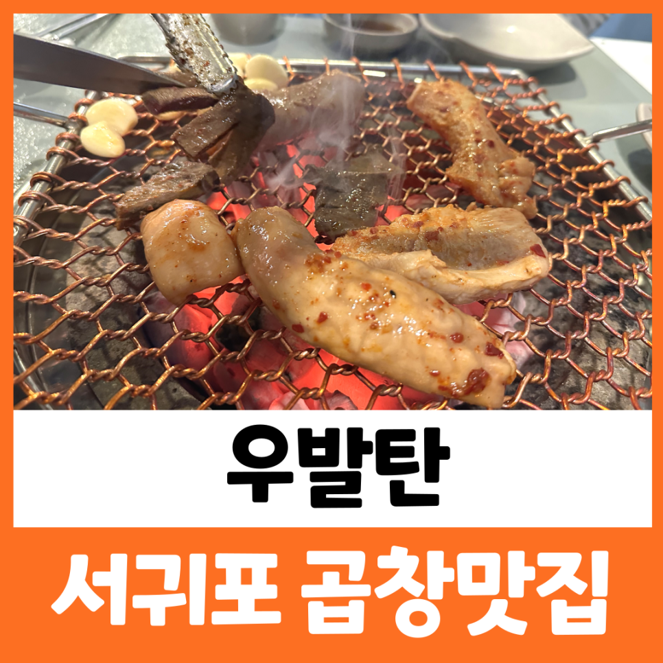 우발탄 이미지