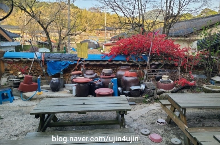 감나무집민박 이미지