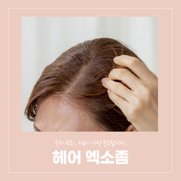연세BK의원 이미지