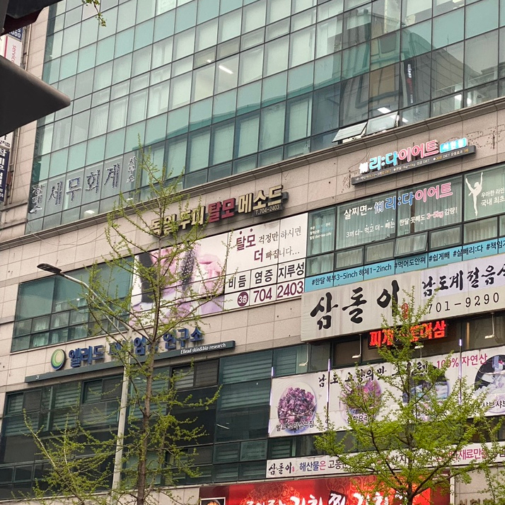 독일WT메소드 이미지
