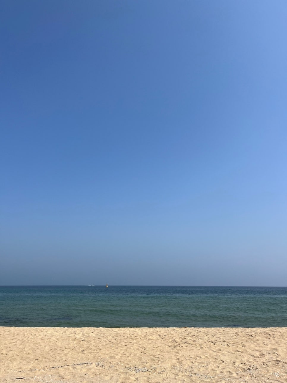 이디야강릉 이미지