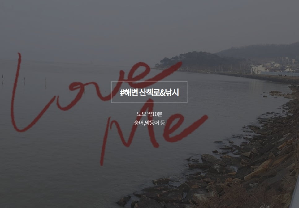 와서뭐하니 이미지