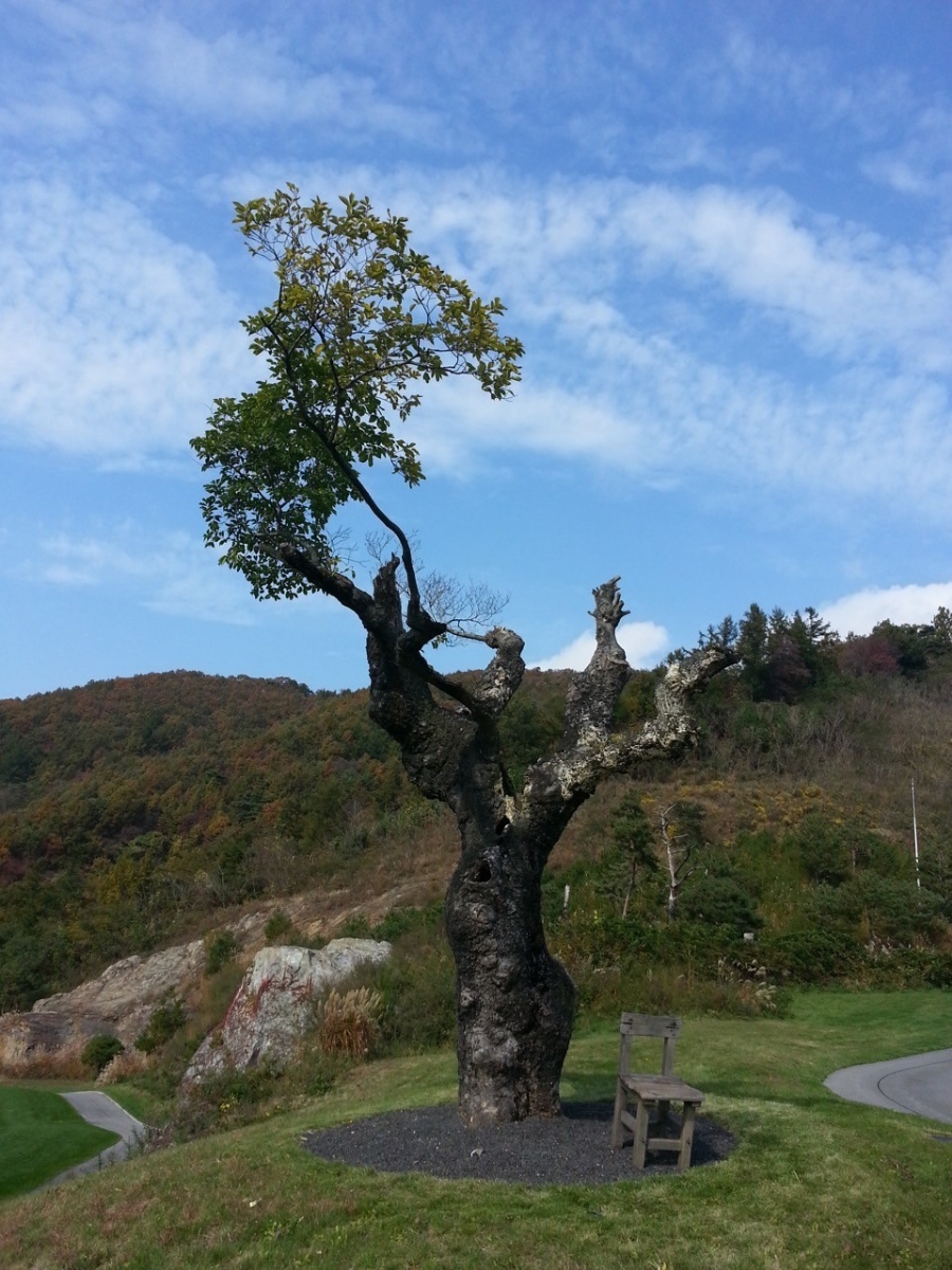 지상의양식 이미지