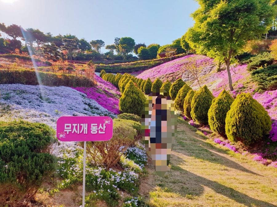 동산잔디 이미지