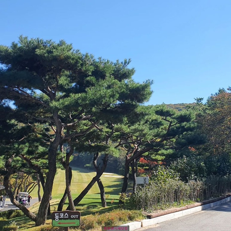 골프와사람들 이미지