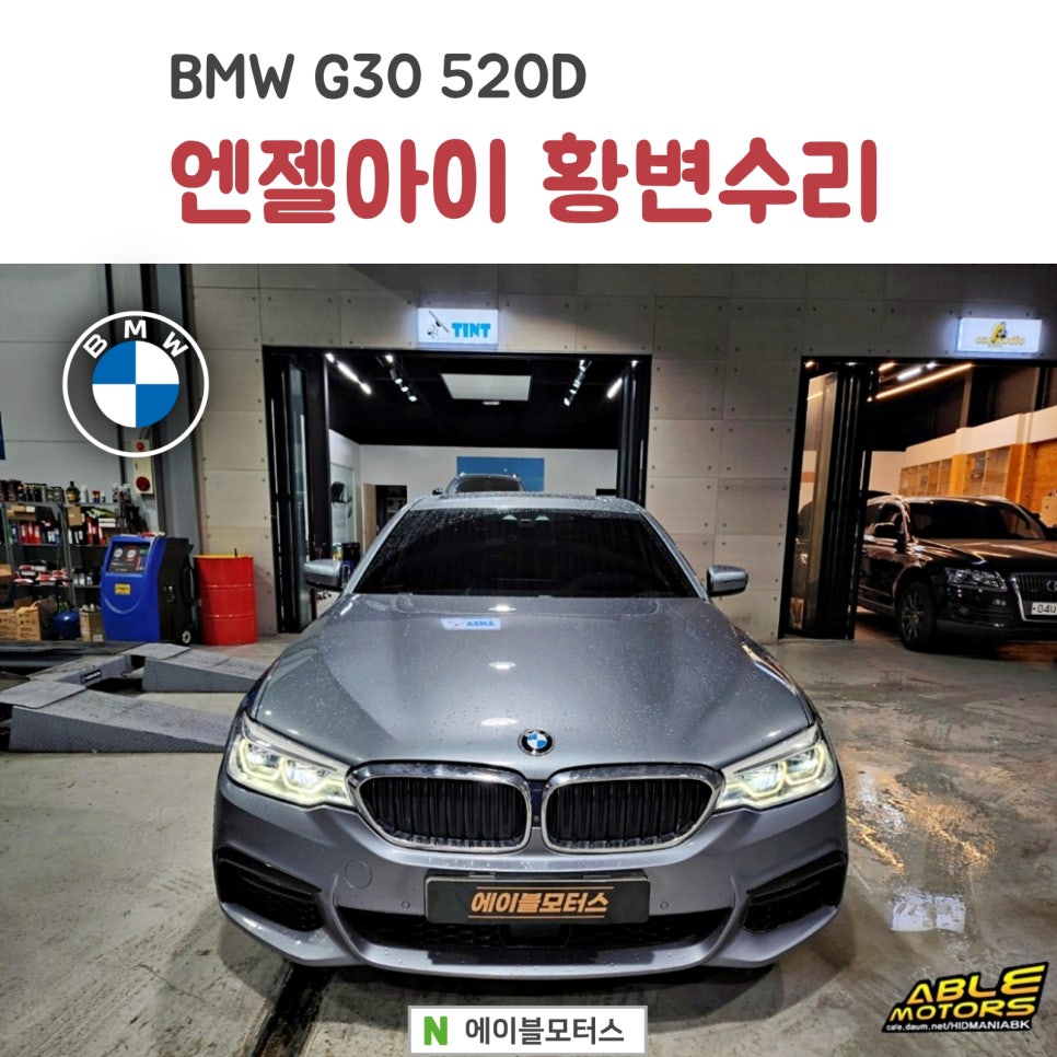 엔젤카센타 이미지