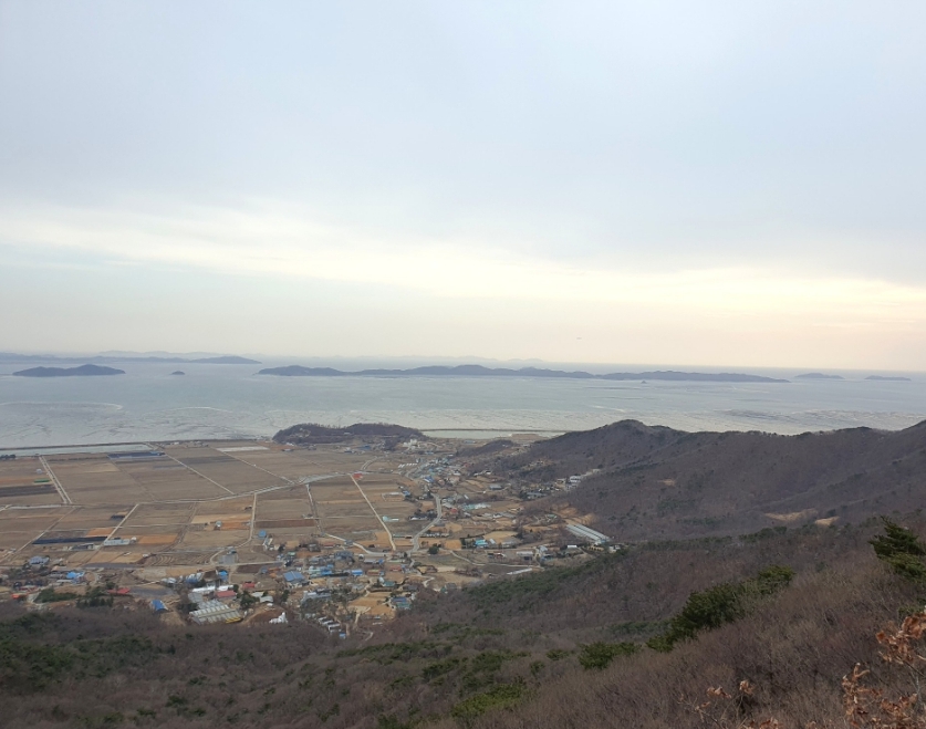 와서뭐하니 이미지