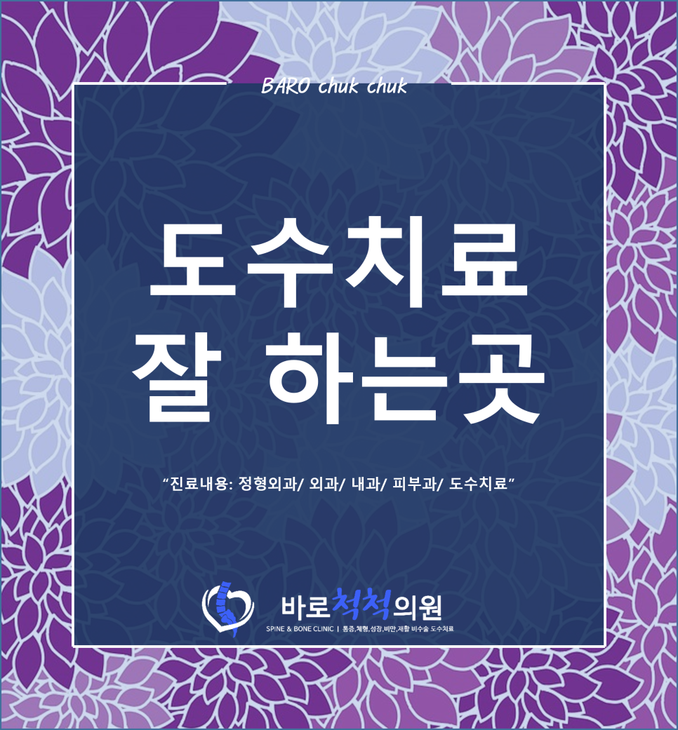 척척의원 이미지