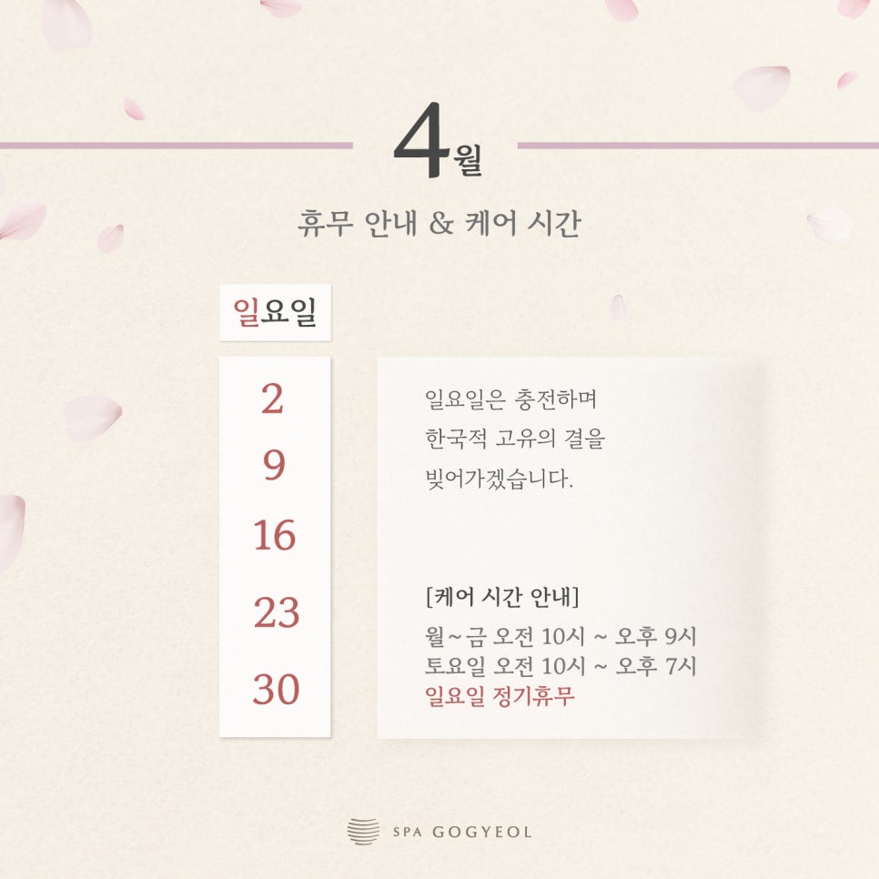 스파고결 이미지